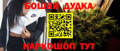 прущие крисы Гай