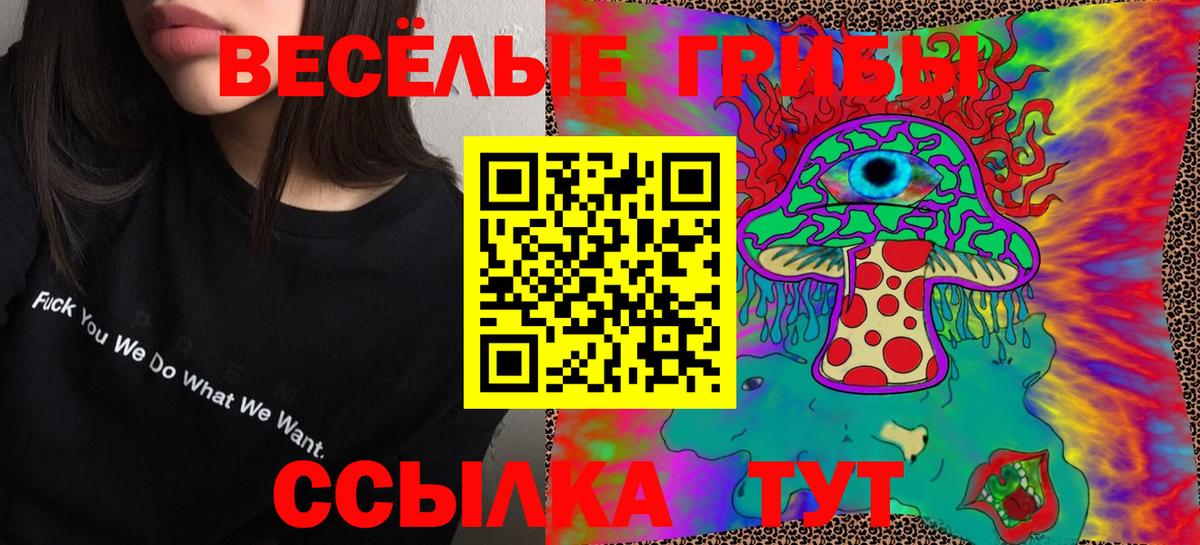 Нефтекумск  Галлюциногенные грибы Psilocybe  Вход с VPN  Псилоцибиновые грибы Magic Shrooms 